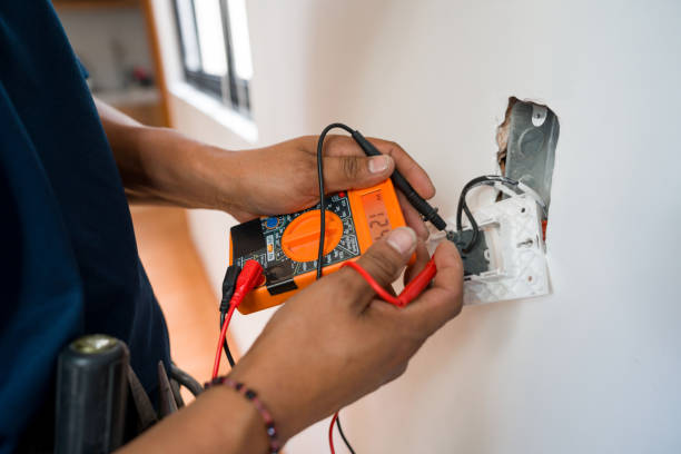 Best Electrical Panel Upgrades  in Orida City, FL